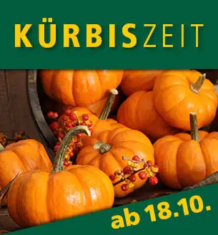 Kürbiskarte 2024