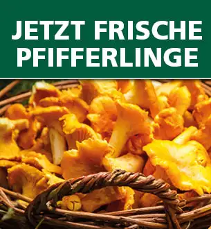 Saisonale Pfifferling Gerichte